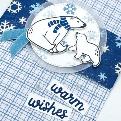 Beary Cute Snowflake Treat Bag