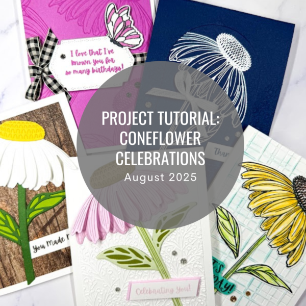 Coneflower Celebrations Project Tutorial